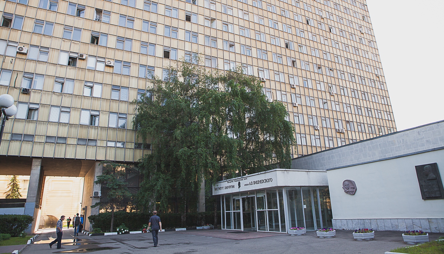 Москва институт им вишневского