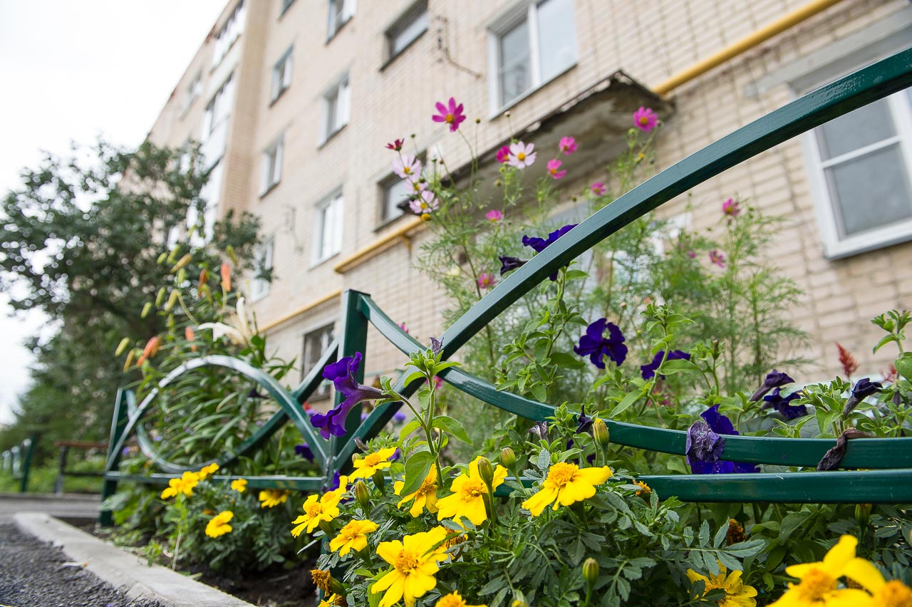 Вдохновленные ремонтом двора жильцы украшают газоны яркими цветами