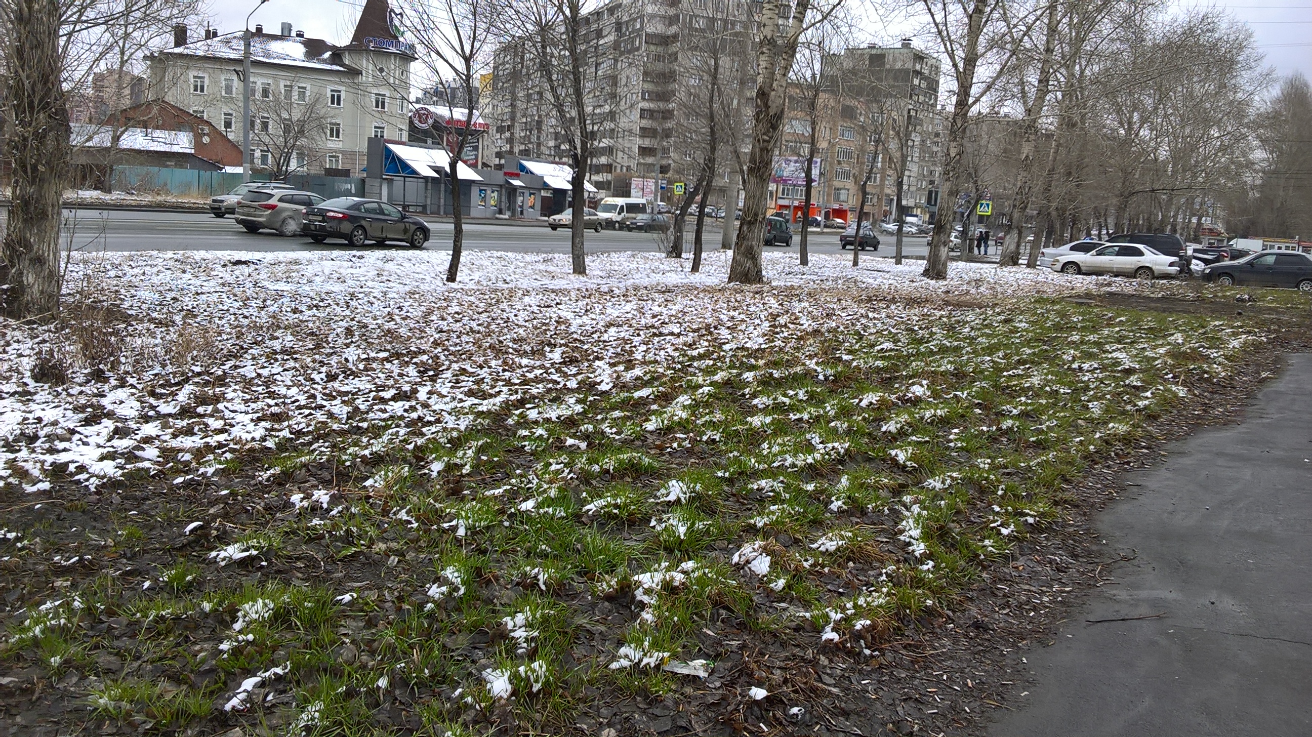 Весной выпал снег