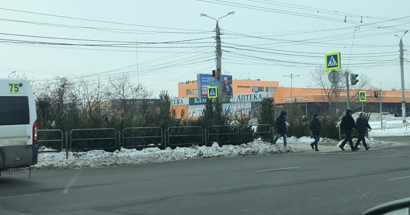 С понедельника 30 декабря в Челябинске 
возобновятся рейды по нелегальным 
елочным базарам
