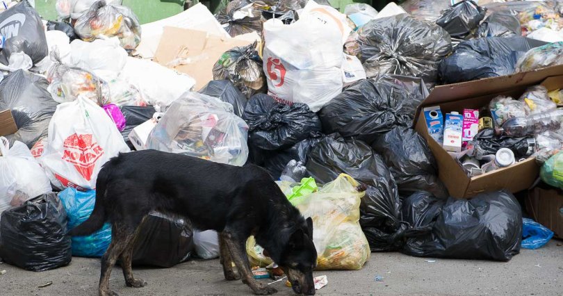 ЦКС объяснил, почему в Челябинске начали 
хуже вывозить мусор
