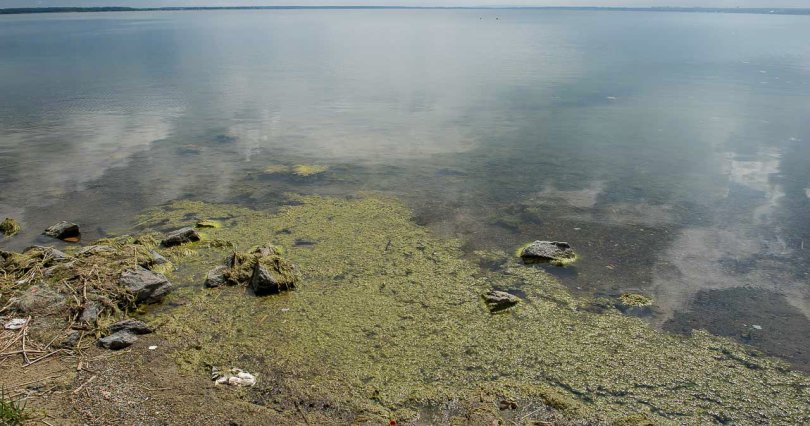 В Челябинске утвердили 33 места, где 
нельзя купаться
