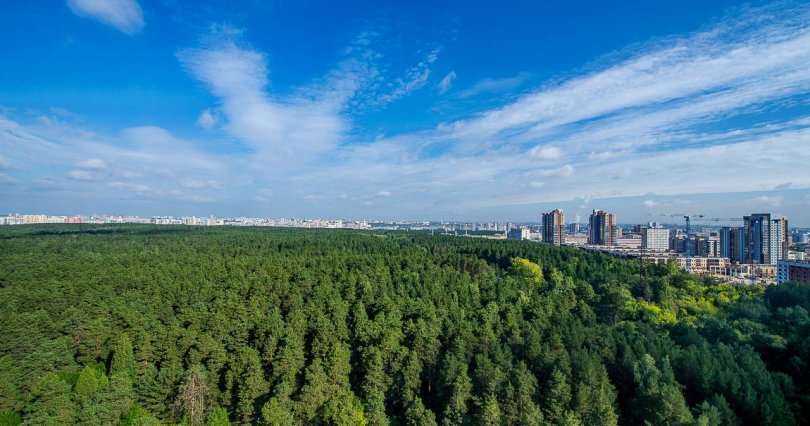 Депутаты ЗСО одобрили проект создания 
зеленого пояса Челябинска
