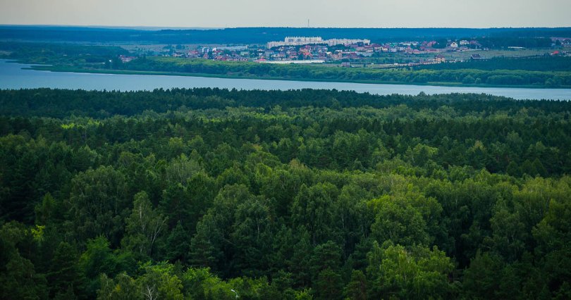 Вокруг Челябинска создается лесопарковый 
зеленый пояс
