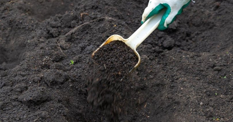 Челябинский садовод расскажет, как 
подготовить почву к зиме
