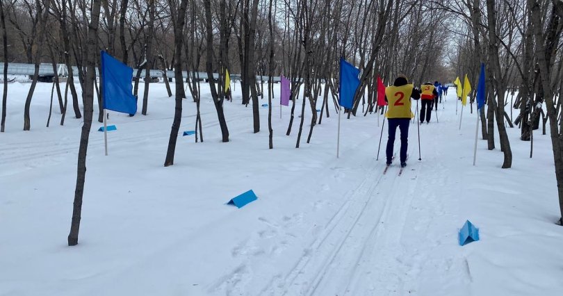 В скверах и парках Челябинска откроют 
лыжные трассы
