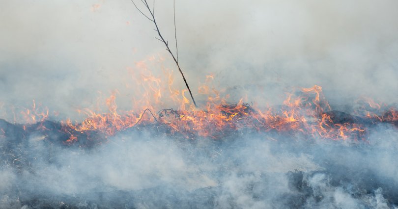 Южноуральцев предупреждают о запахе гари 
от лесных пожаров
