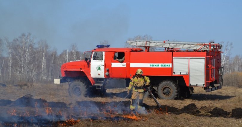 В Челябинской области начались лесные 
пожары
