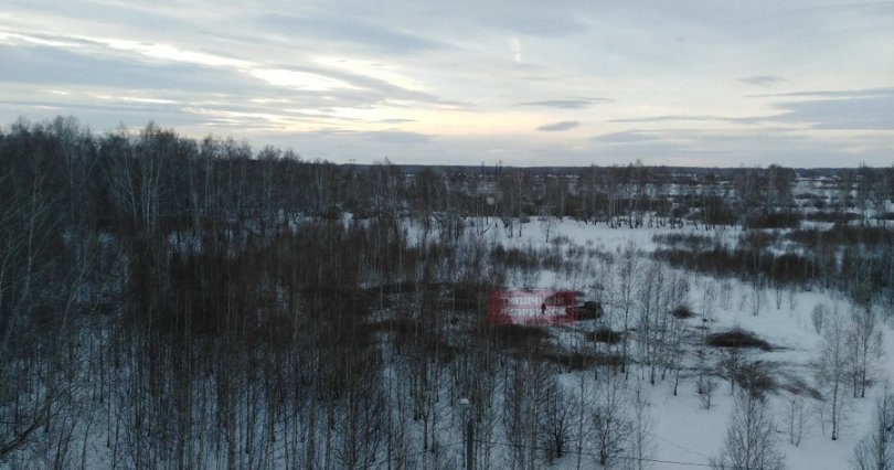 В Челябинске проводится проверка 
по факту вырубки деревьев в «Парковом»

