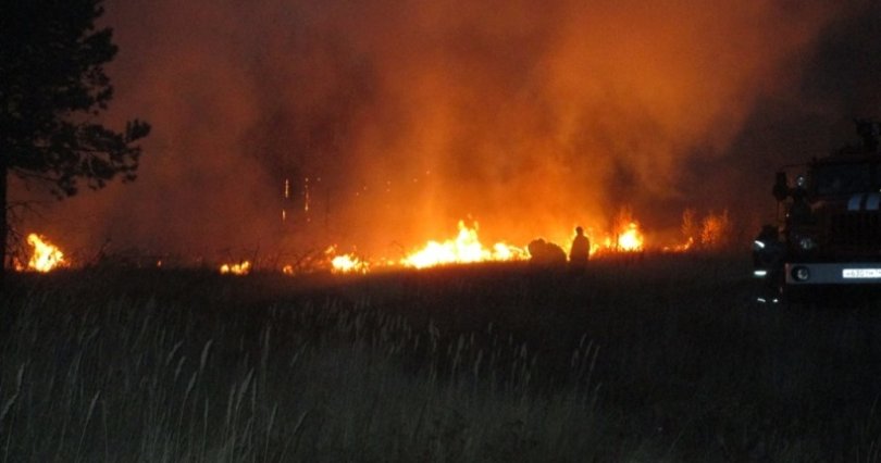 В Челябинской области вспыхнул крупный 
лесной пожар
