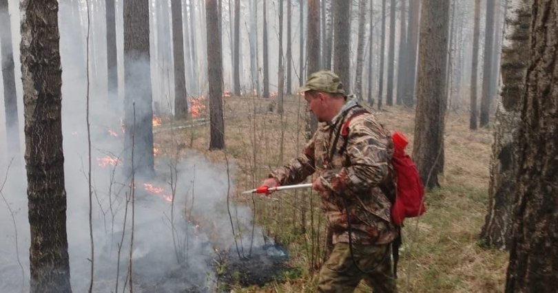 В Челябинской области из-за 
непотушенного костра выгорело больше 
пяти гектаров леса
