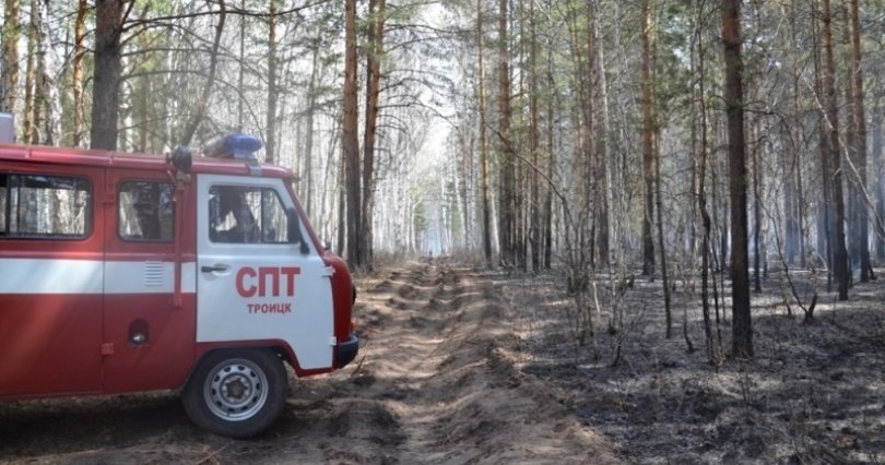 В Челябинской области ликвидируют 
крупный лесной пожар
